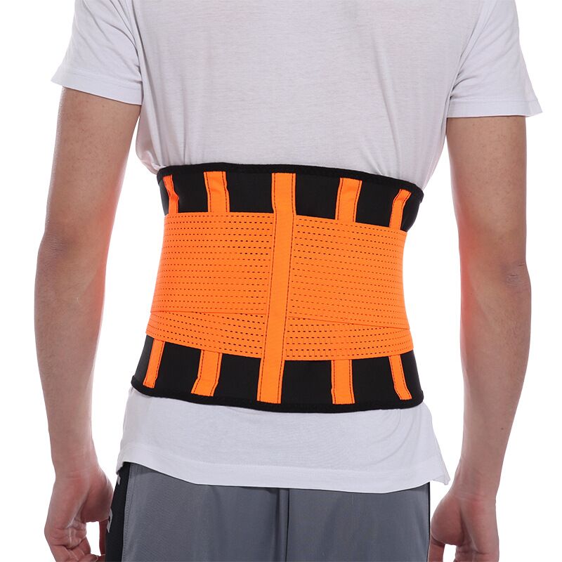 Waist and Back Support Belt